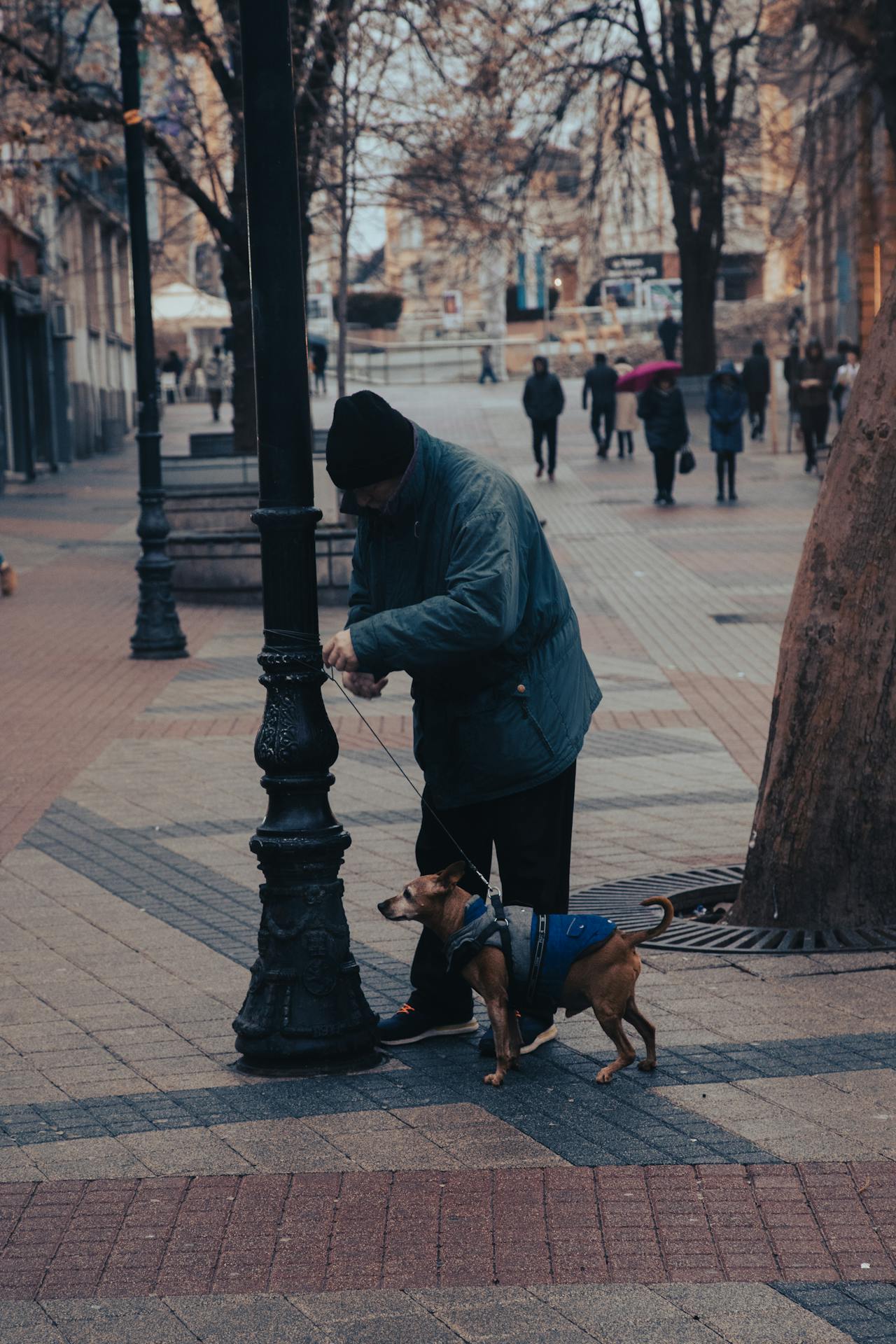 A man smiling with his beloved dog on a city sidewalk